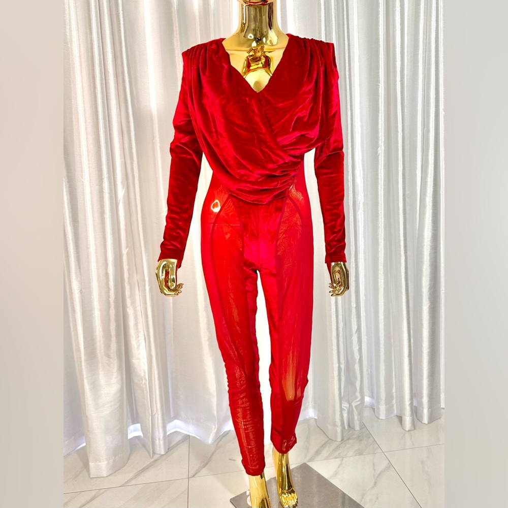 Sexy Red Velvet Sheer Catsuit (sz 10)